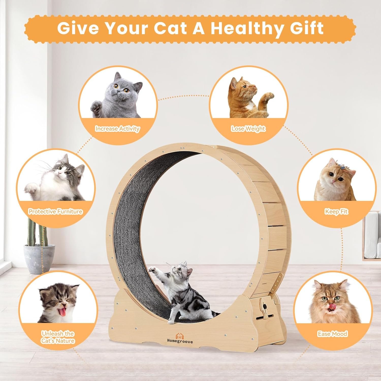 Homegroove Cat Exercise Wheel for Indoor Cats, 46" Large XL Cat Running Treadmill Wheel with Carpeted Runway for Kitty’s Longer Life, Natural Wood Color(XL)