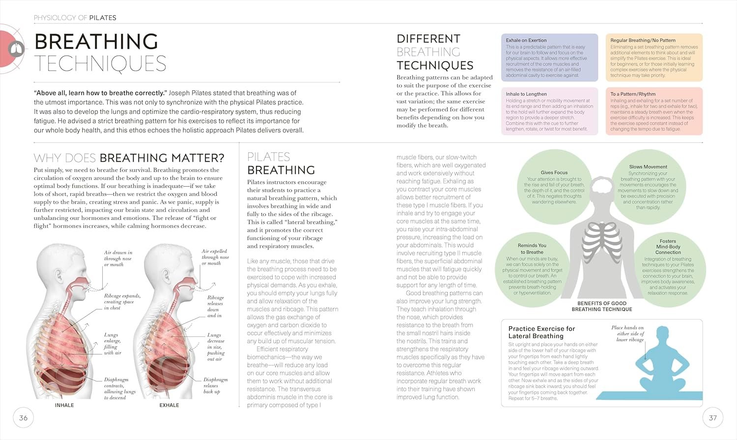 Science of Pilates: Understand the Anatomy and Physiology to Perfect Your Practice (The Science of Fitness)