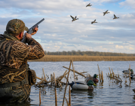 2026 Waterfowl Breeding Survey Released: Here's What Duck Hunters Need to Know