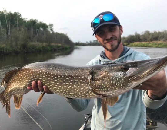 3 easy solutions to really catch pike on the fly