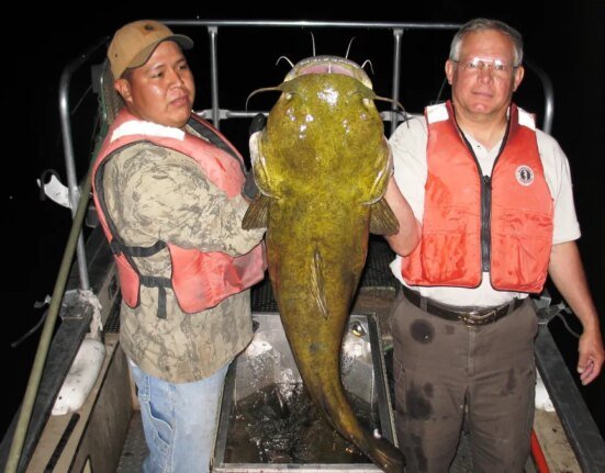 5 Lessons for Catching Trophy Flathead Catfish This Summer