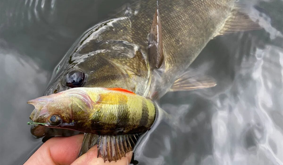6 fishing rules that are commonly (and unintentionally) broken