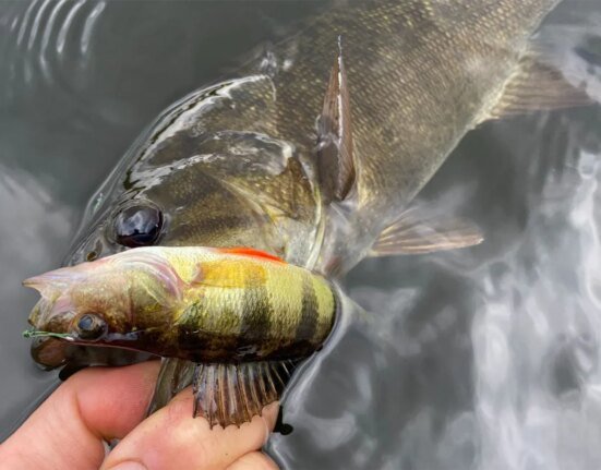 6 fishing rules that are commonly (and unintentionally) broken