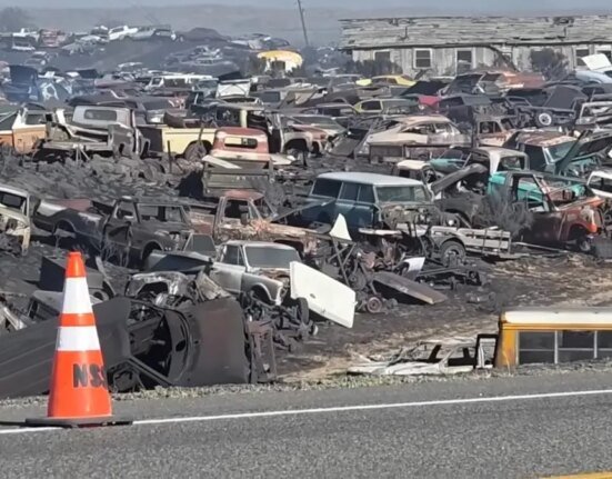 8,600-acre wildfire destroys massive Idaho salvage yard holding 8,000 cars