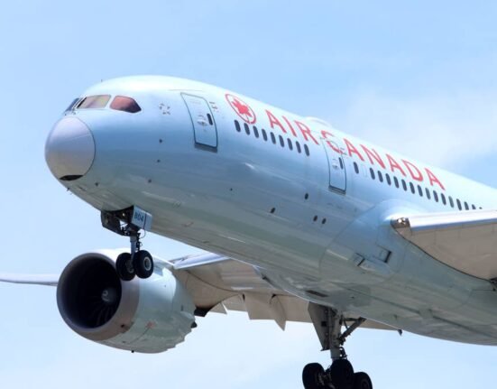 Air Canada passengers restrain 'incompetent' pilot during wild flight after plane 'spins'