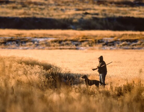 As Oregon hunt-fish ban moves toward vote, politicians in every state are shying away from it