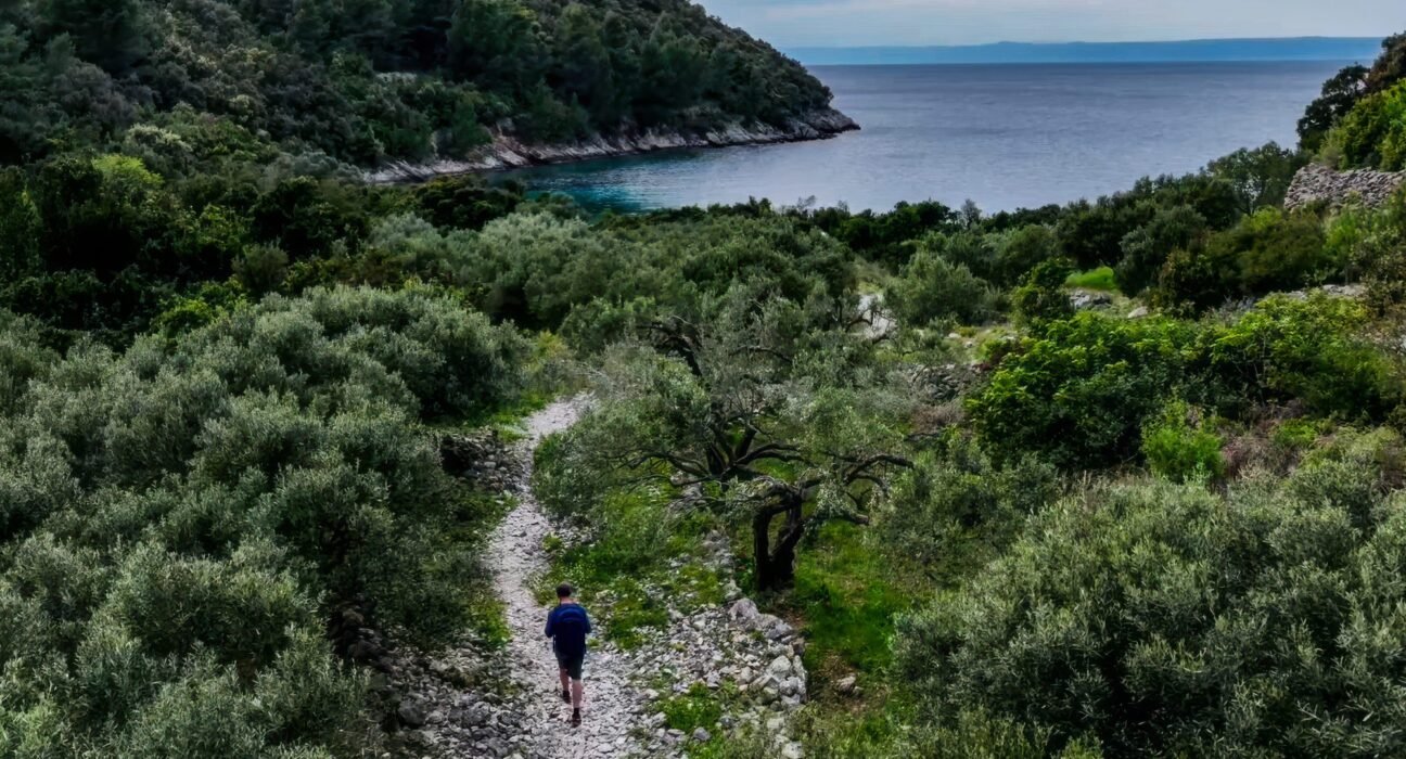 Dalmatian Diversion | Above and beyond dubrovnik