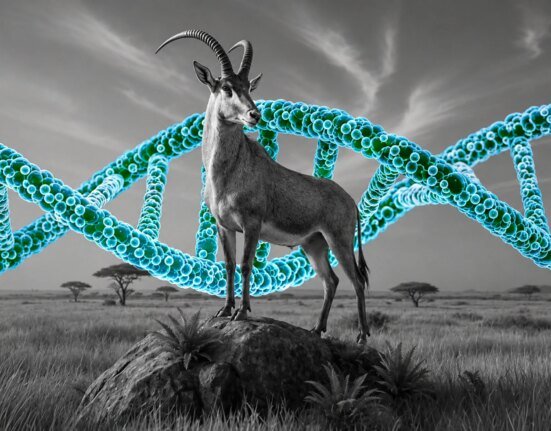 Feds team up with de-extinction company to preserve endangered species' DNA