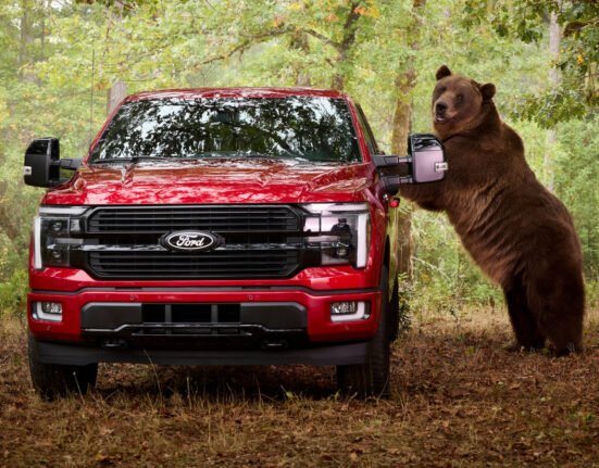 Ford chose bears to test F-150 safety packages