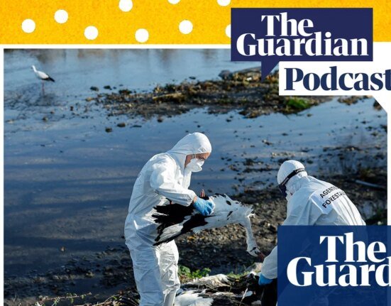 How worried should we be about bird flu? - The Whole Story Podcast | bird flu