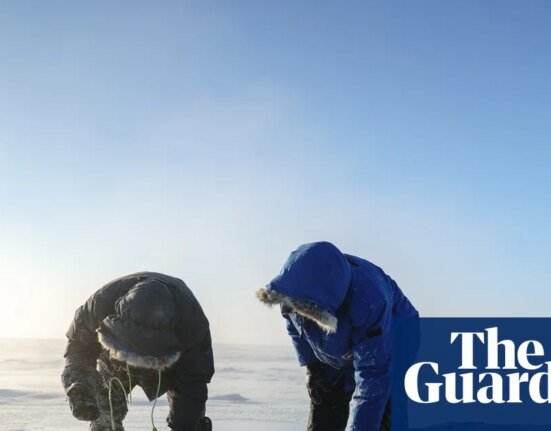 Inside the audacious plan to refreeze the Arctic - Podcast | Science