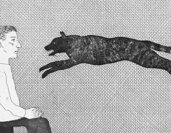 Literary Center » Check out David Hockney's strange and lovely illustrations for his favorite Brothers Grimm fairy tales.