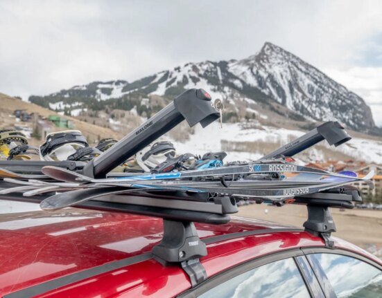 Malone Liftline Compact Ski Carrier Review