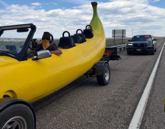 Man driving giant banana pulled over in Montana