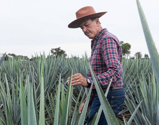 Meet the distiller who changed the course of tequila history