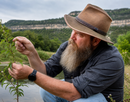 Meriwether's Foraging Texas is one of the best resources for learning about wild foods in the South.