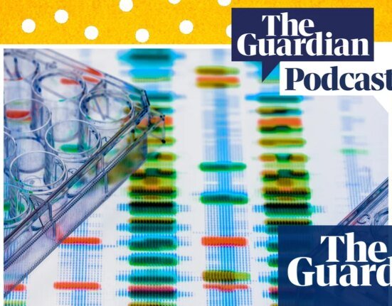 Nature or nurture: can genes make us behave 'badly'? - The Whole Story Podcast | genetics