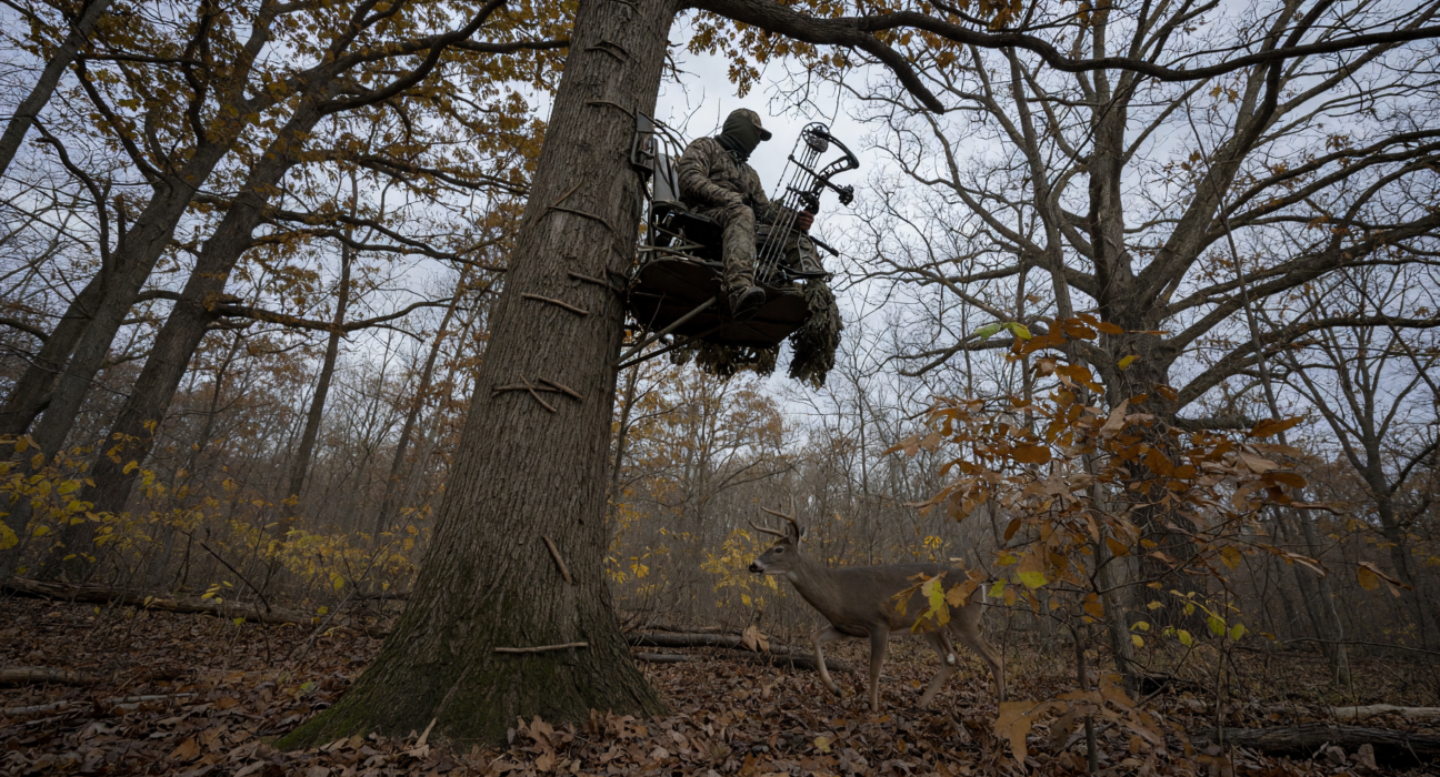 New York changes deer hunting rules to promote antlerless harvest statewide - Fingerlakes1.com