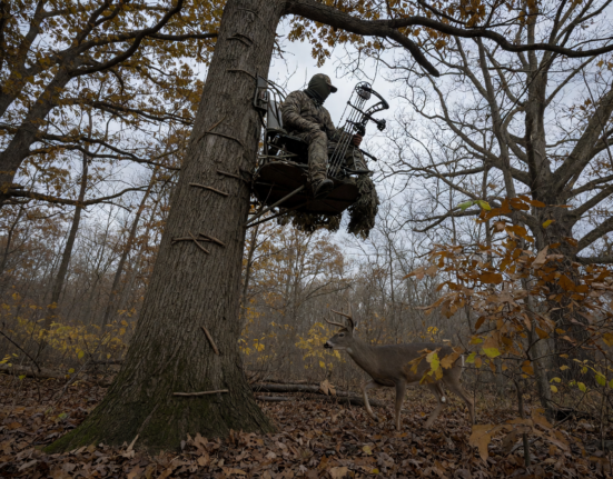 New York changes deer hunting rules to promote antlerless harvest statewide - Fingerlakes1.com