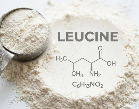 New study shows how leucine boosts energy, muscle growth and metabolism