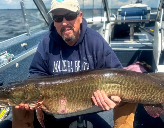 'Our net is not big enough for this.' Father and son's giant muskie is an unofficial Vermont record