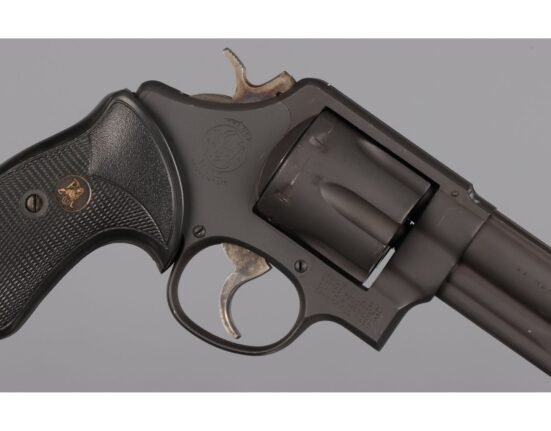 POTD: Spokehandguns Custom S&W Model 520