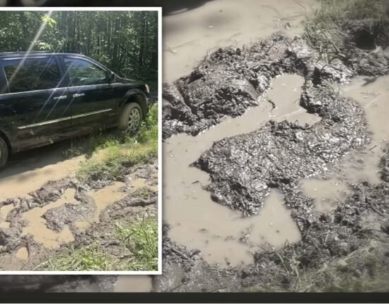 People searched for a woman missing for 3 days. Then some UTV drivers took a new path