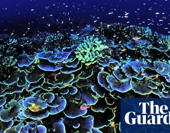 Ping-Pong Sponges, 'Black Smokers' and Floating Things: Mysteries of the Deep Sea - Podcast | ocean
