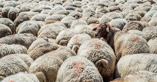 Podcast #1,121: Relationships Without Conformity – The Path from Pseudo Self to Solid Self
