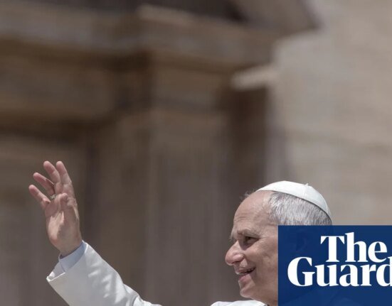 Pope Leo XIV to publish a collection of early writings. books