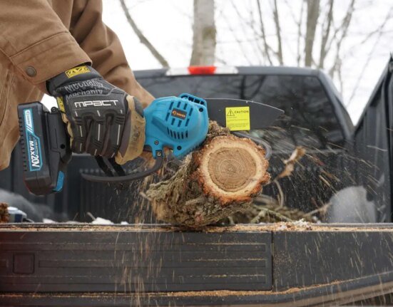 Sekar Mini Chainsaw Prime Day Deal: You Won't Believe What This $30 Chainsaw Can Cut