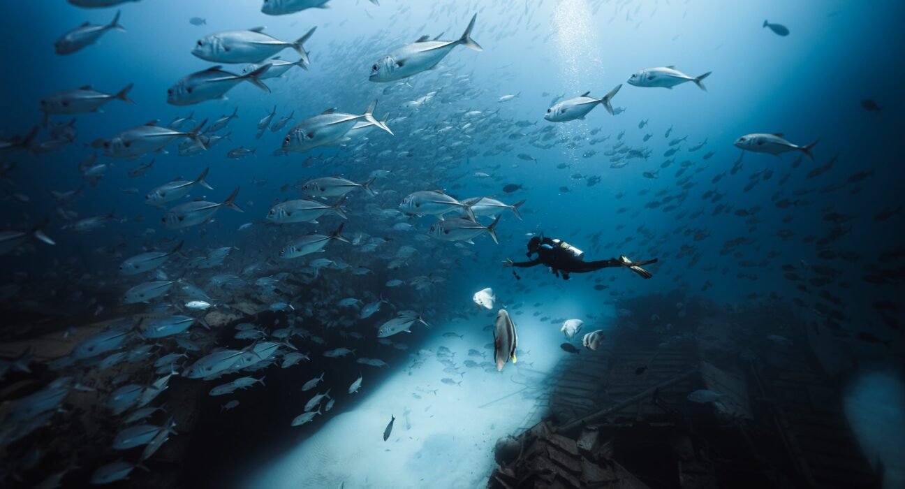 Siam World launches Wreck to Reef dive site in Maldives