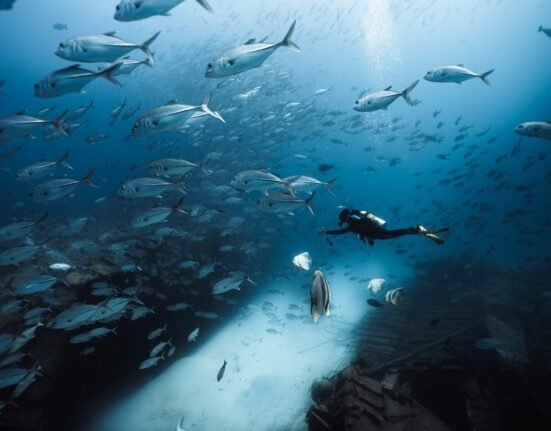 Siam World launches Wreck to Reef dive site in Maldives