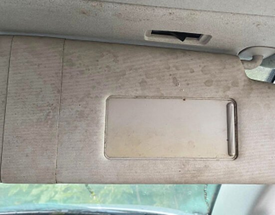Signs of mold forming in your car (and how to fight it)