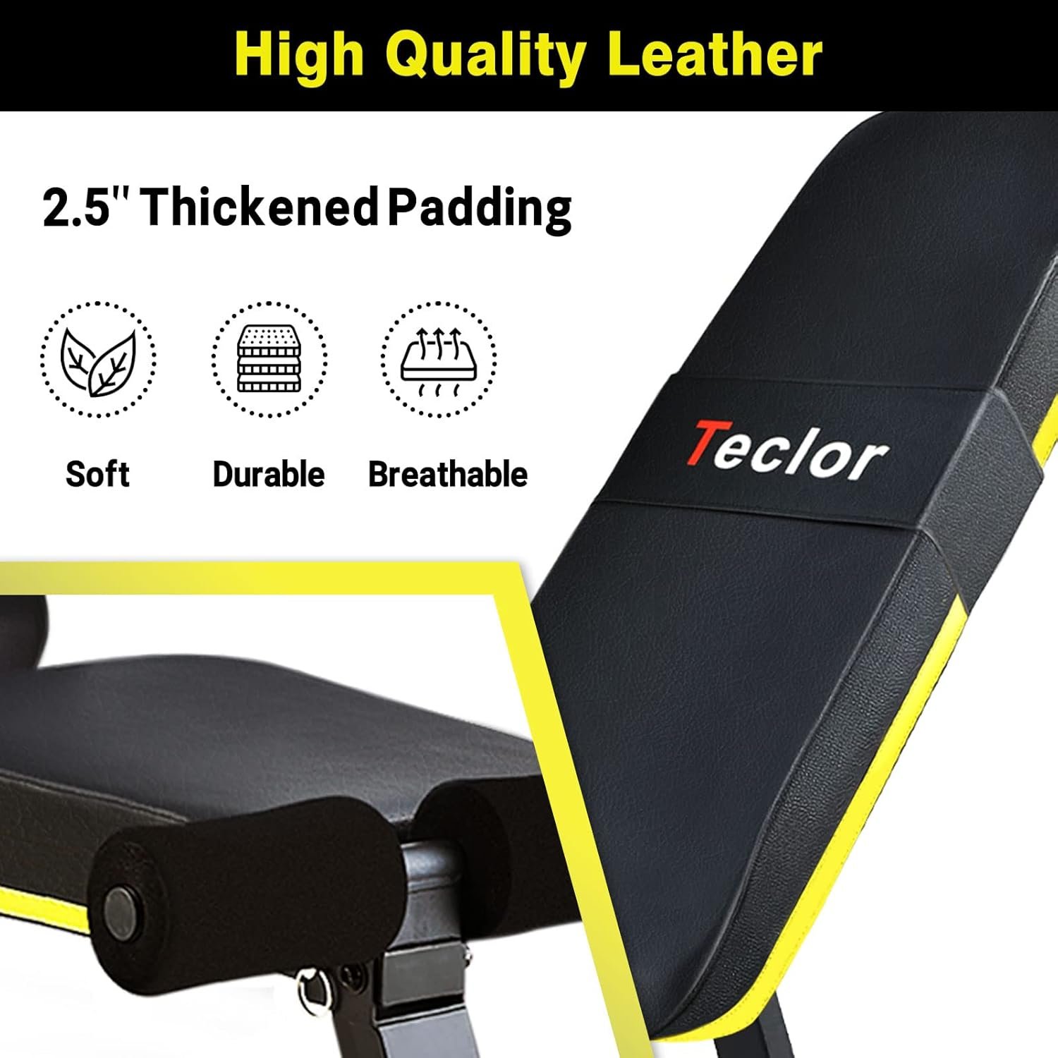 Teclor Adjustable Weight Bench, Foldable Workout Benches for Home Gym, 10 Backrest Position Exercise Bench for Strength Training, Upgraded Thickened Steel Support Max Capacity 700LBs