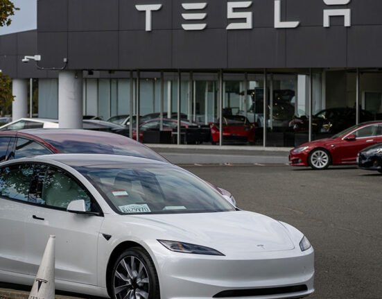 Tesla Model 3 crashes into Texas house, woman dies