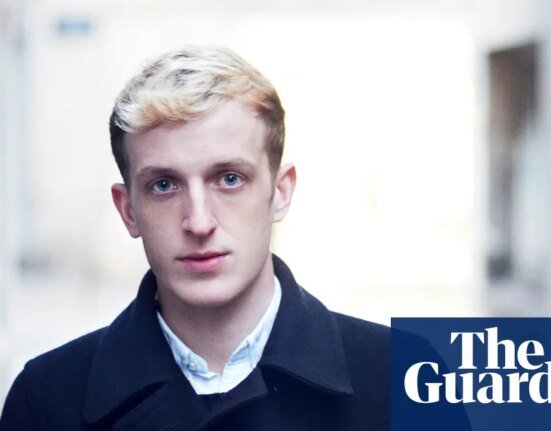 The Fall by Edouard Lewis review – Coming to terms with the death of a brother | fiction in translation
