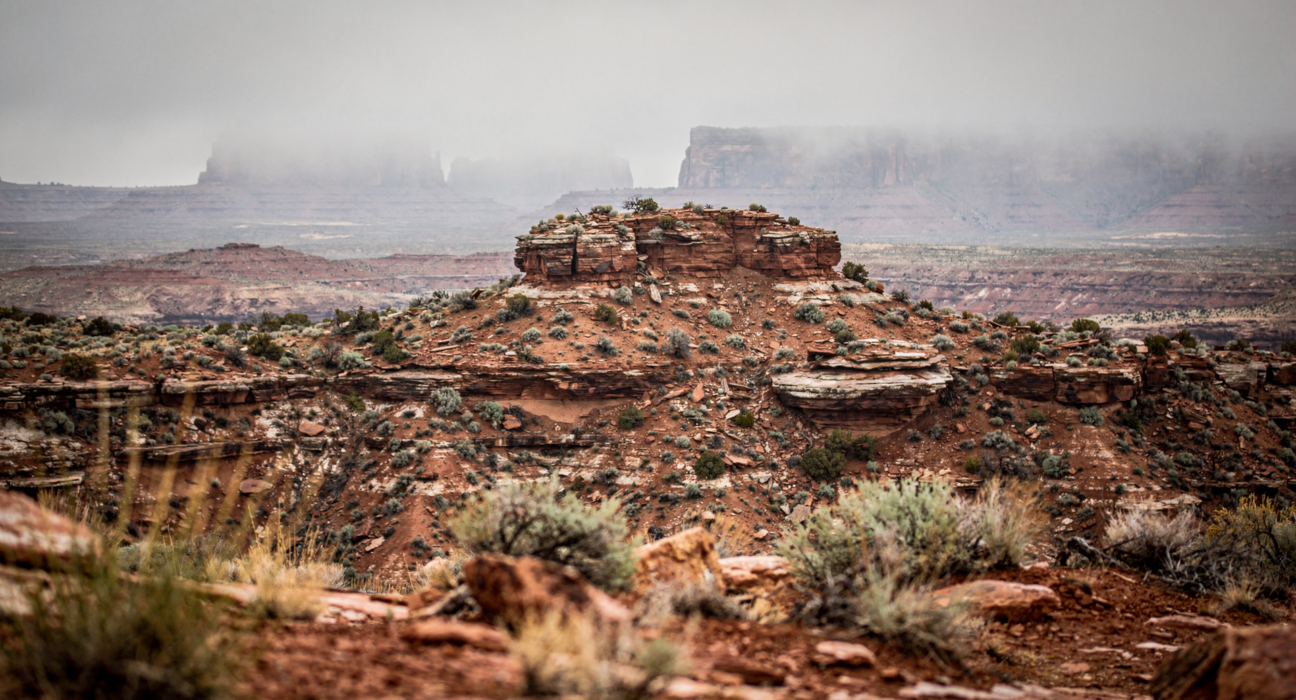 The Utah Trust Lands Board approved the sale of 50,000 acres in the Book Cliffs to the state Wildlife Division.