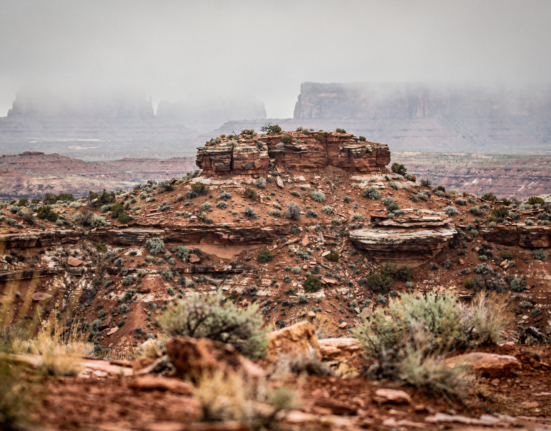 The Utah Trust Lands Board approved the sale of 50,000 acres in the Book Cliffs to the state Wildlife Division.