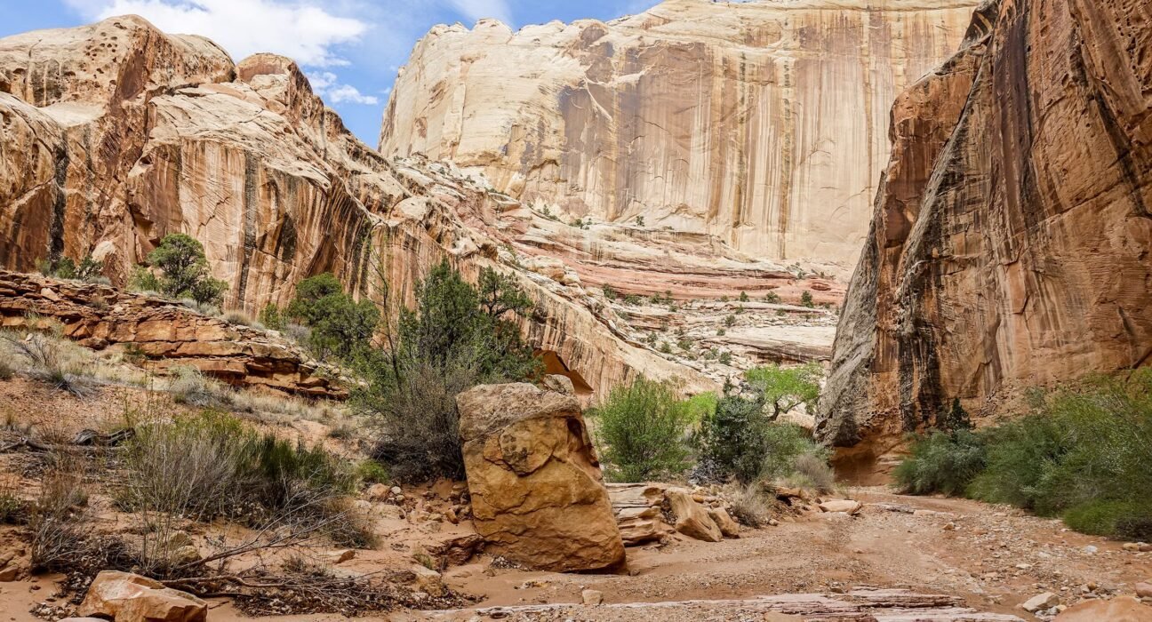 The national monument is once again in danger due to the court decision.