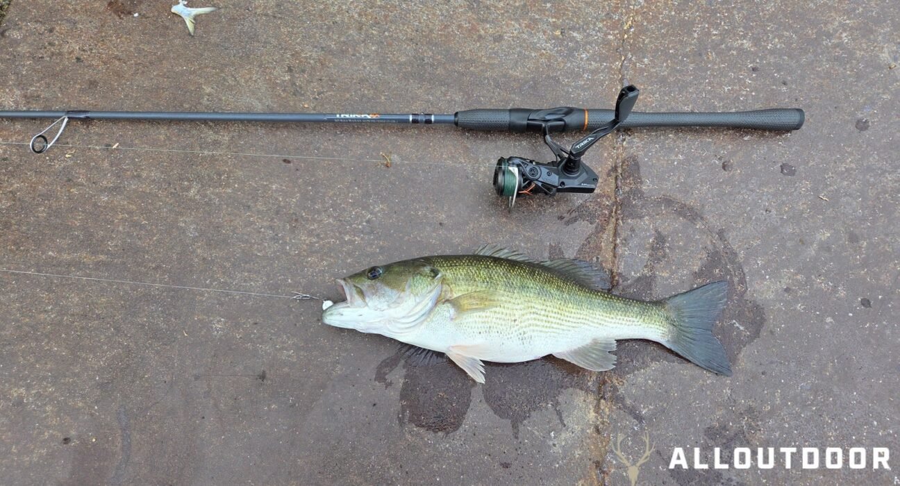 Trica Ti Series Spinning Reel and Trica 6X Rod