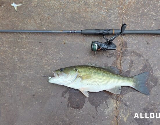 Trica Ti Series Spinning Reel and Trica 6X Rod