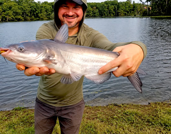 bank catching catfish spawn