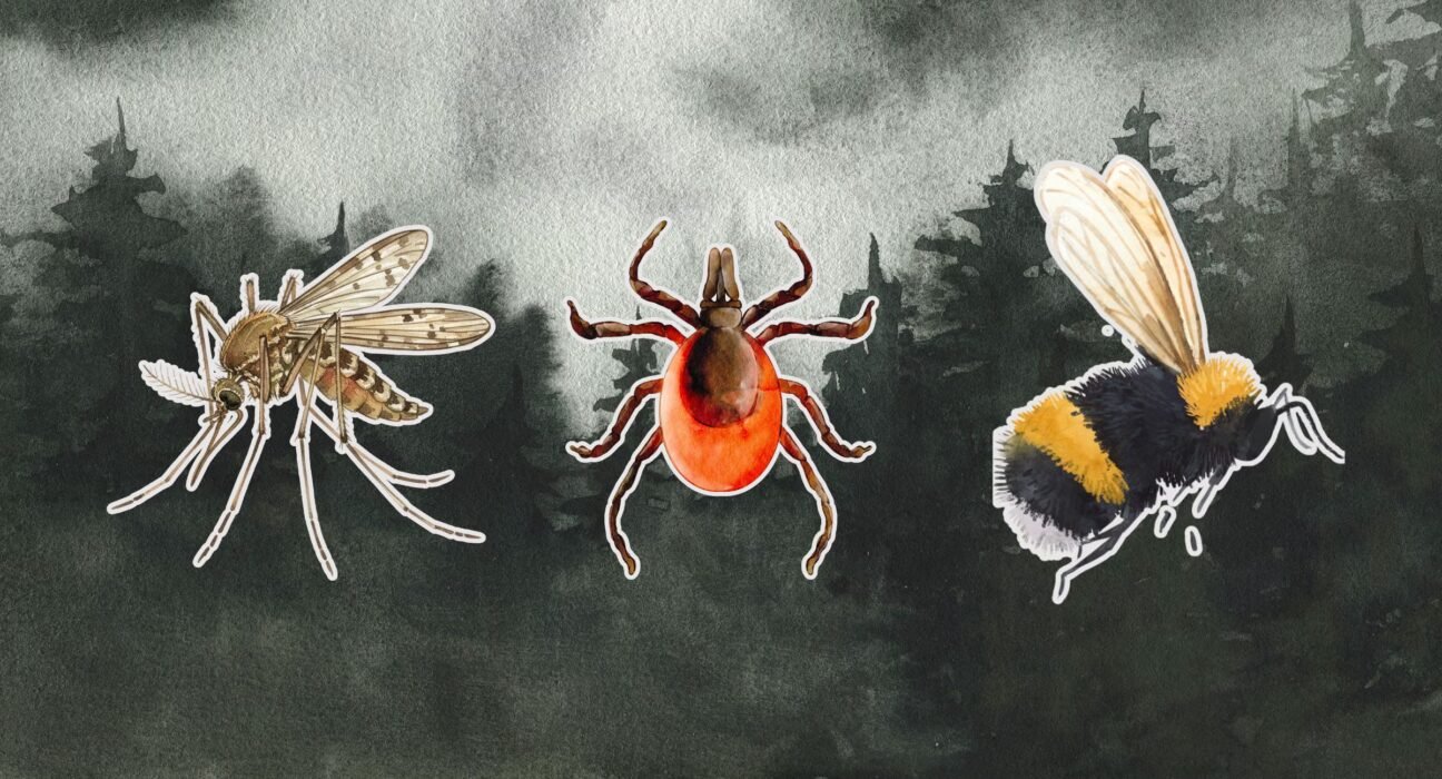 10 Most Common Bug Bites and Rashes with Pictures