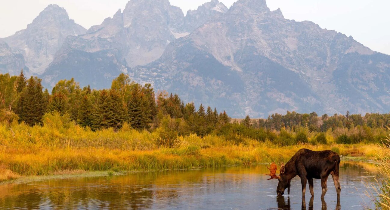 $310,000 per acre: Grand Teton National Park beats high cost to add new land