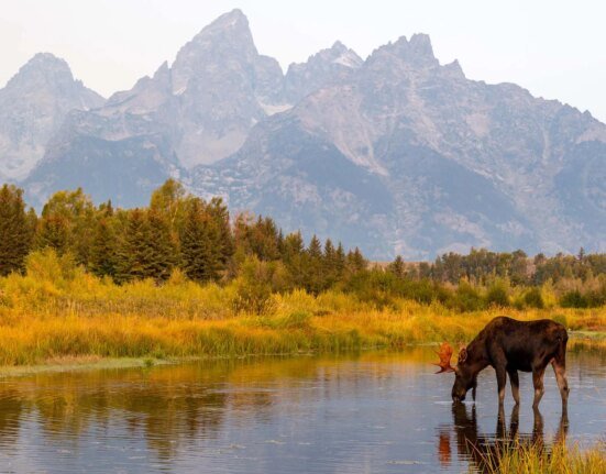 $310,000 per acre: Grand Teton National Park beats high cost to add new land