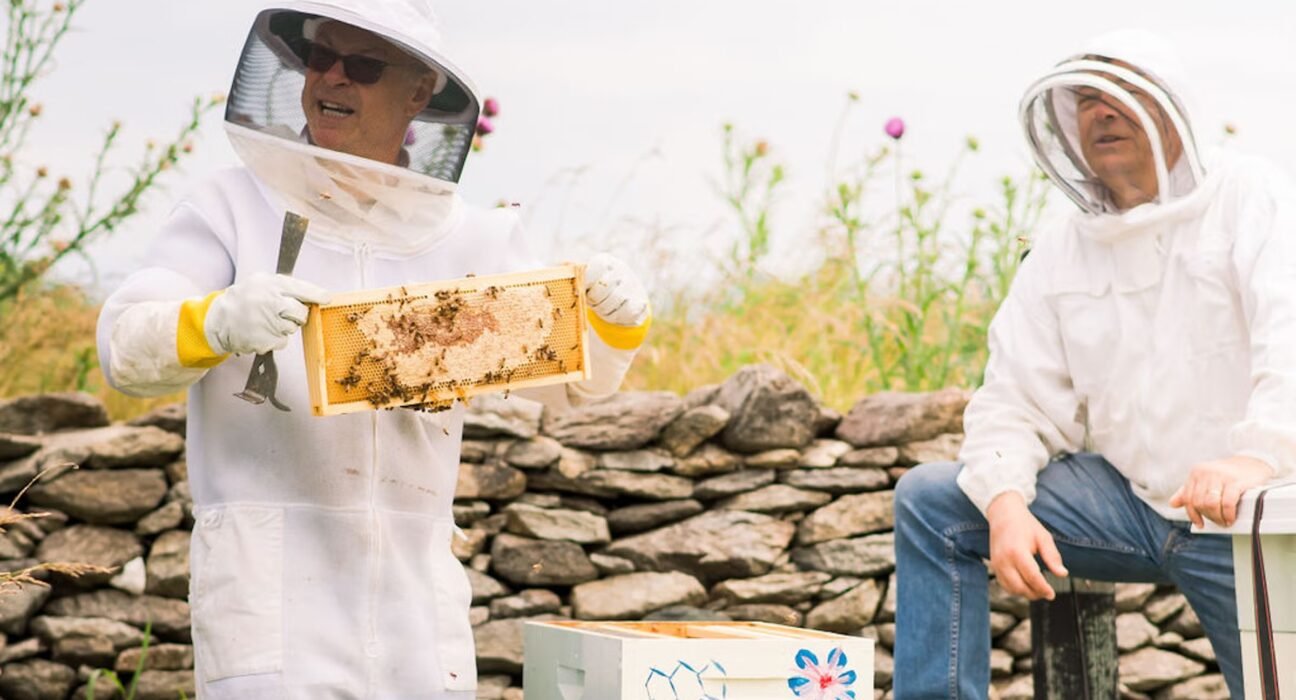 5 Best Luxury Farm Stays in America for an Authentic Experience