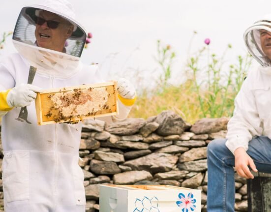 5 Best Luxury Farm Stays in America for an Authentic Experience