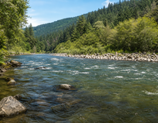64-year-old kayaker dies after kayak capsizes on North Umpqua River near Winchester
