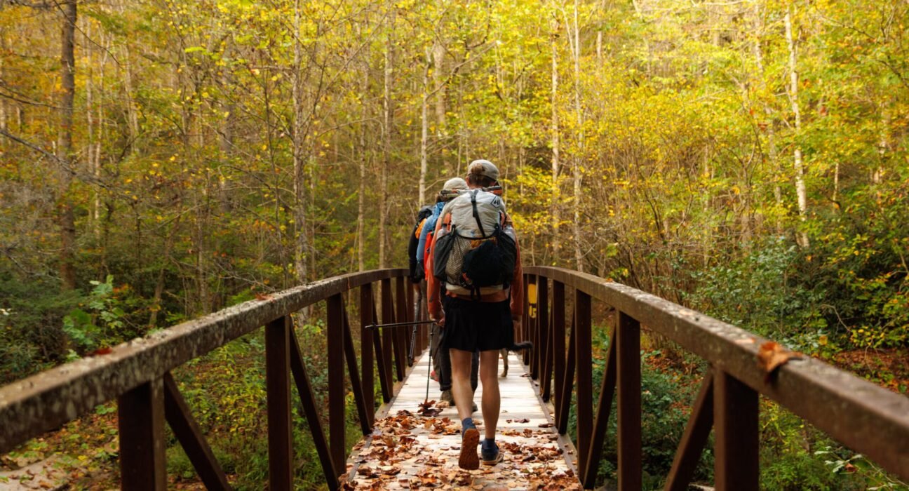 8 Must-Visit Hiking Areas in the Allegheny Mountains